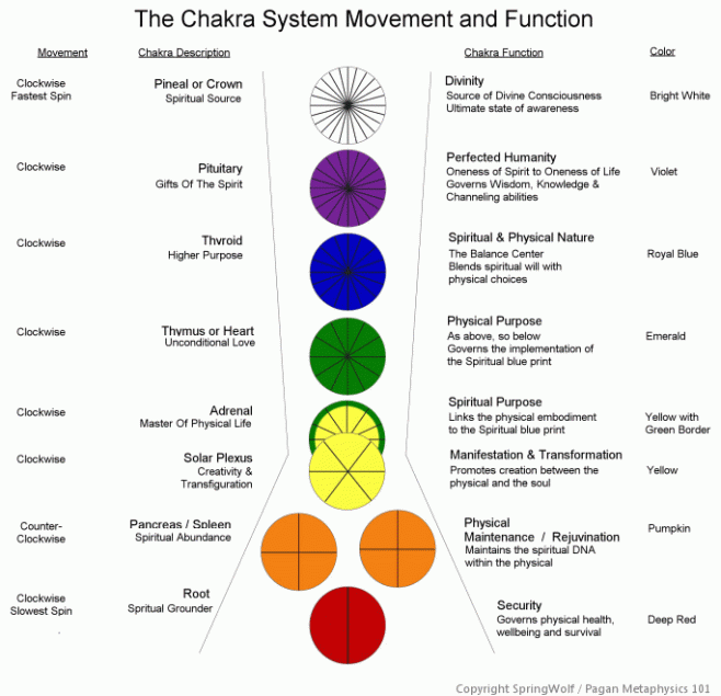 The Chakra System | Springwolf Reflections