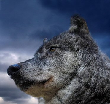 Introspection & Change