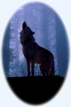 The Wolf Within