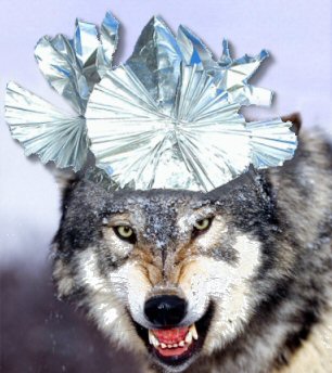 Get Your Tin Foil Hat