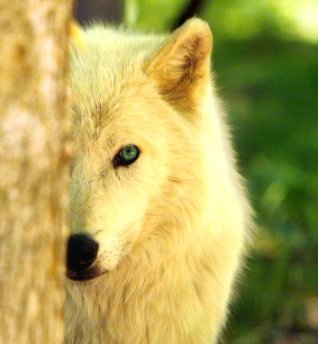 Find Your Strength Within