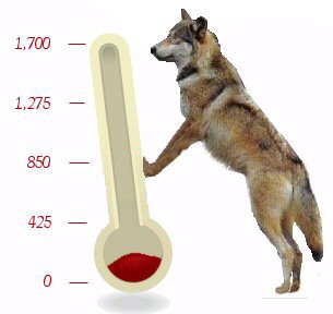 Help Us Help Others Fund