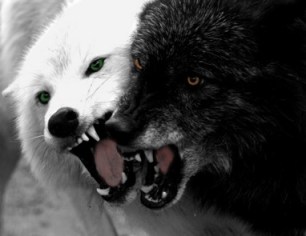 Facing The Conflict Within