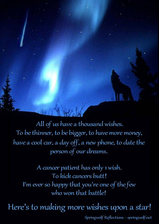 Wish Upon A Star - Cancer Survivors