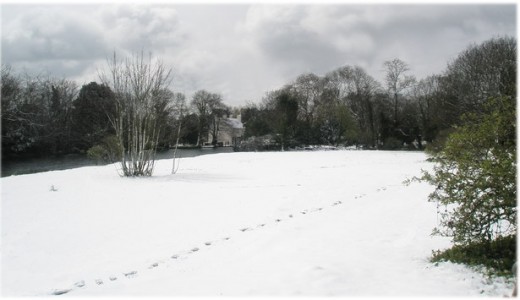 The Devil's Footprints