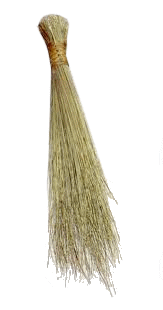 Swazi Broom