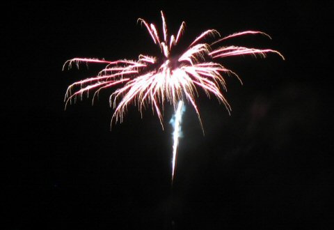 © 2008-2013 Springwolf, D.D., Ph.D. Springwolf Reflections / Spring’s Haven, LLC. All Rights Reserved.