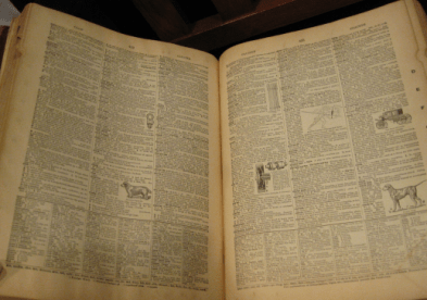 Leather bound Webster's New International Dictionary from 1927.