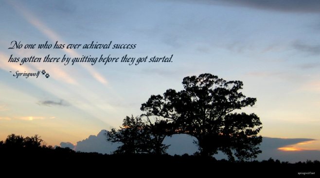 Achieve Success