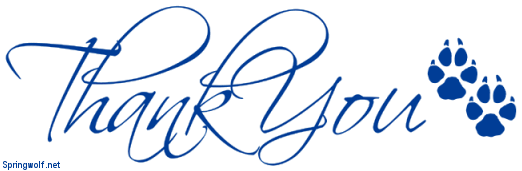 Thank You From Springwolf Reflections