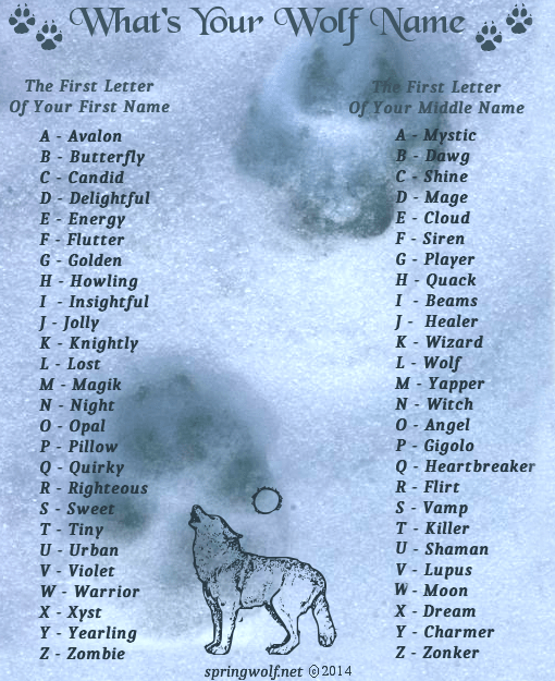 What's Your Wolf Name? 