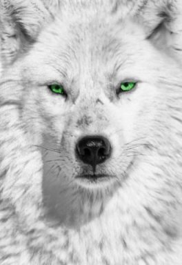 Blessings Of The Green