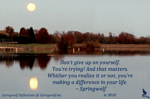 Don't Give Up On Yourself ~ © Springwolf 🐾 2010 ~
