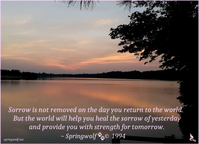 Sorrow By Springwolf 🐾 © 1994