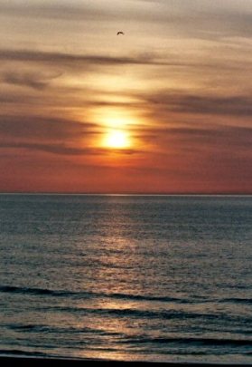 Virginia Sunrise by Springwolf 🐾 © 2007