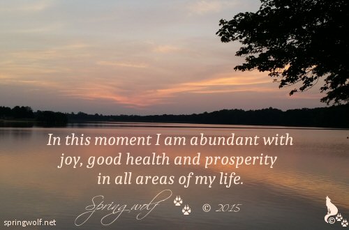 2015 Motto by Springwolf 🐾 © 2015