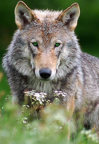 We need your healing prayers. 