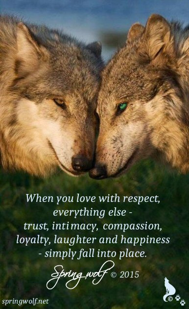 Quotes By Springwolf 🐾 | Springwolf Reflections