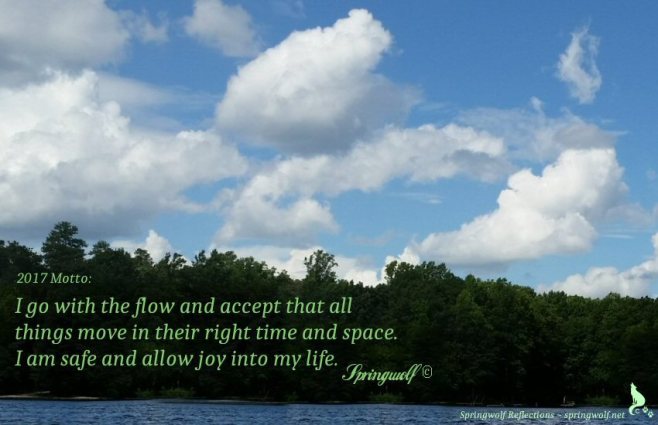 Springwolf's 2017 Motto